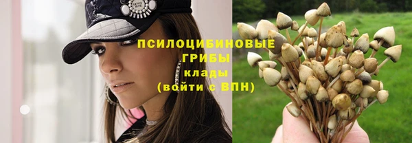 круглые Алексин