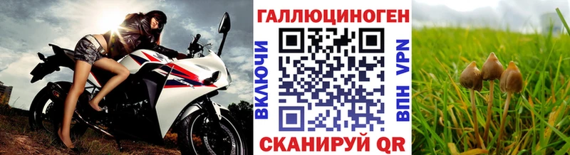 цена   Заволжск  маркетплейс клад  Псилоцибиновые грибы Psilocybine cubensis 