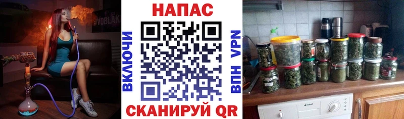 Бошки Шишки планчик  где можно купить   Заволжск 